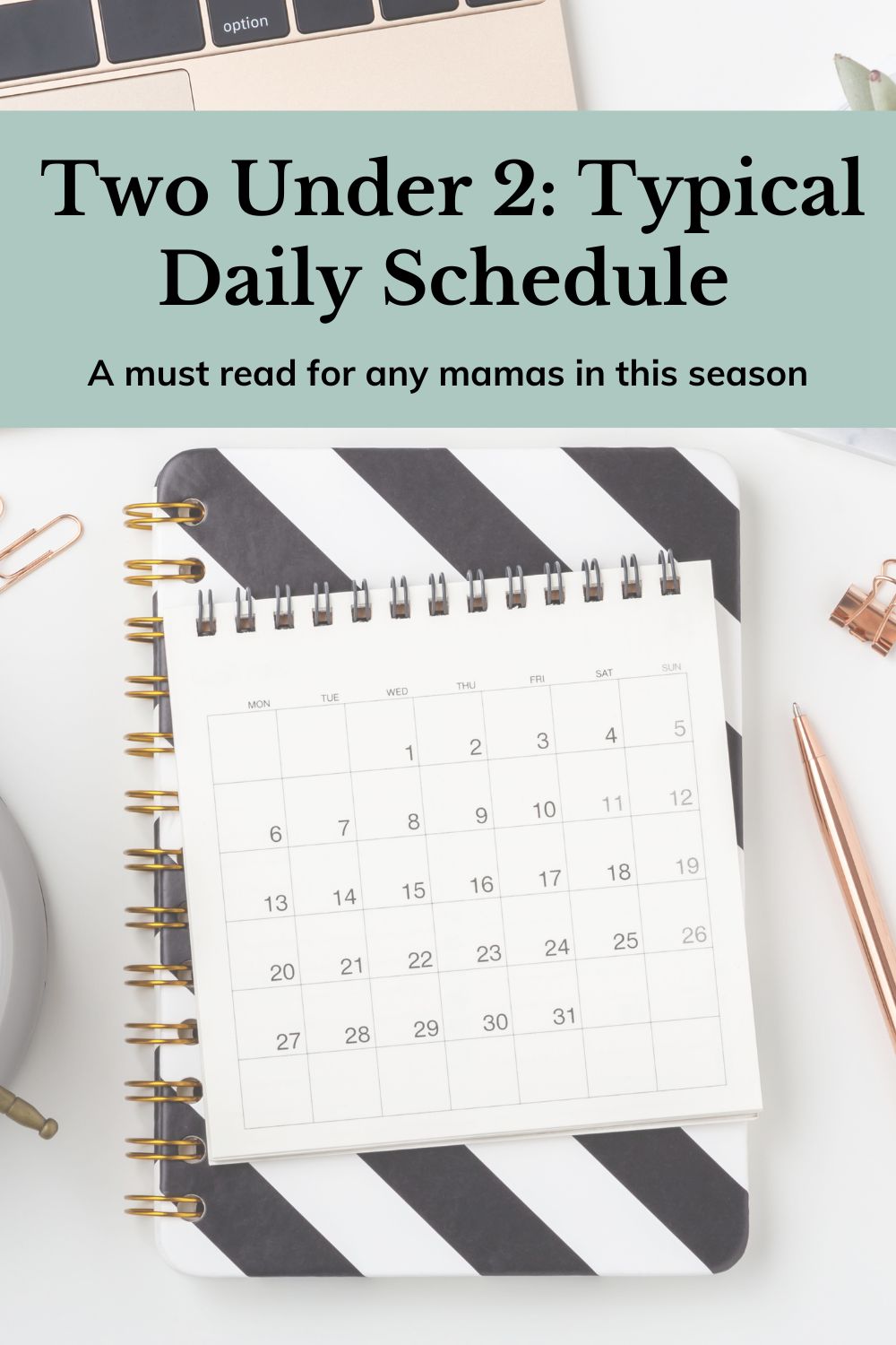 Two Under 2: Typical Daily Schedule