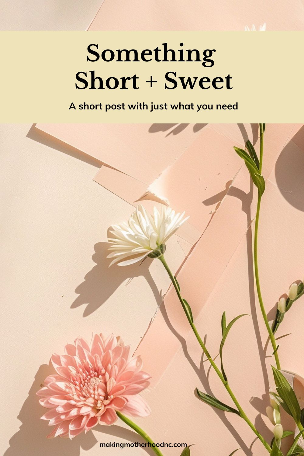 Something Short + Sweet